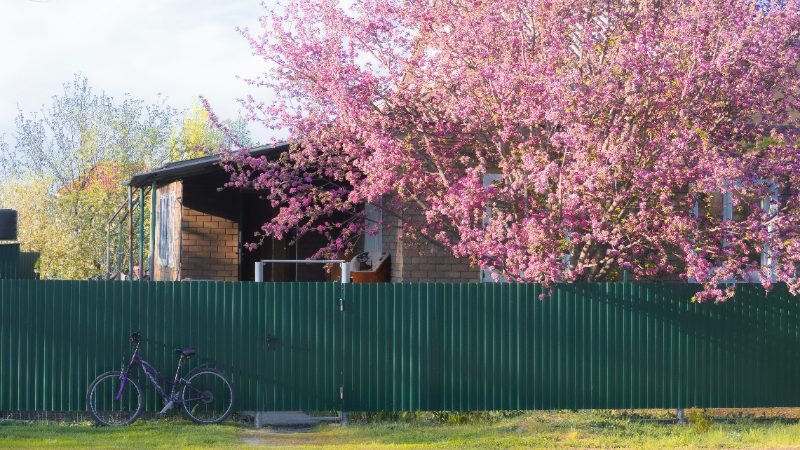 Fence Removal in Las Cruces