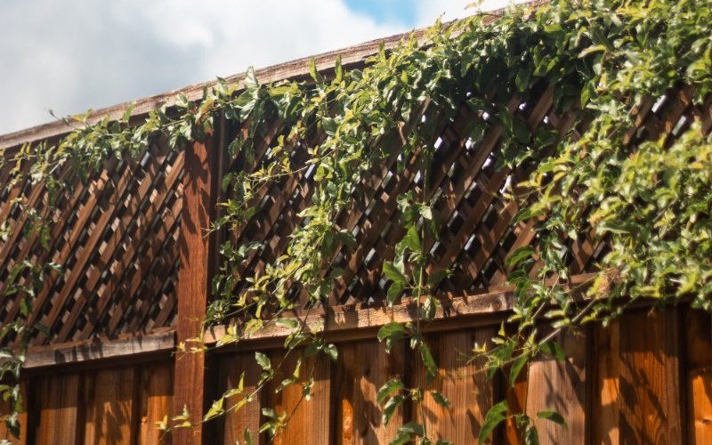 Privacy Fences in Las Cruces