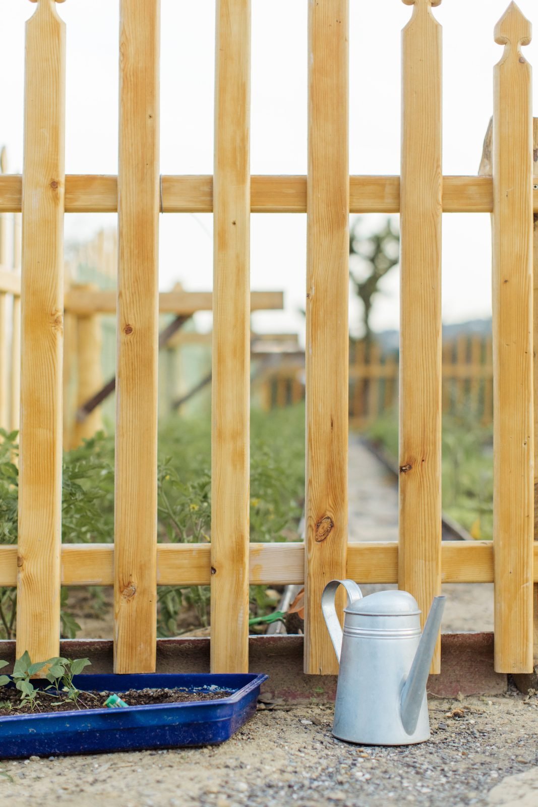 Wood Fences services in Las Cruces, New Mexico